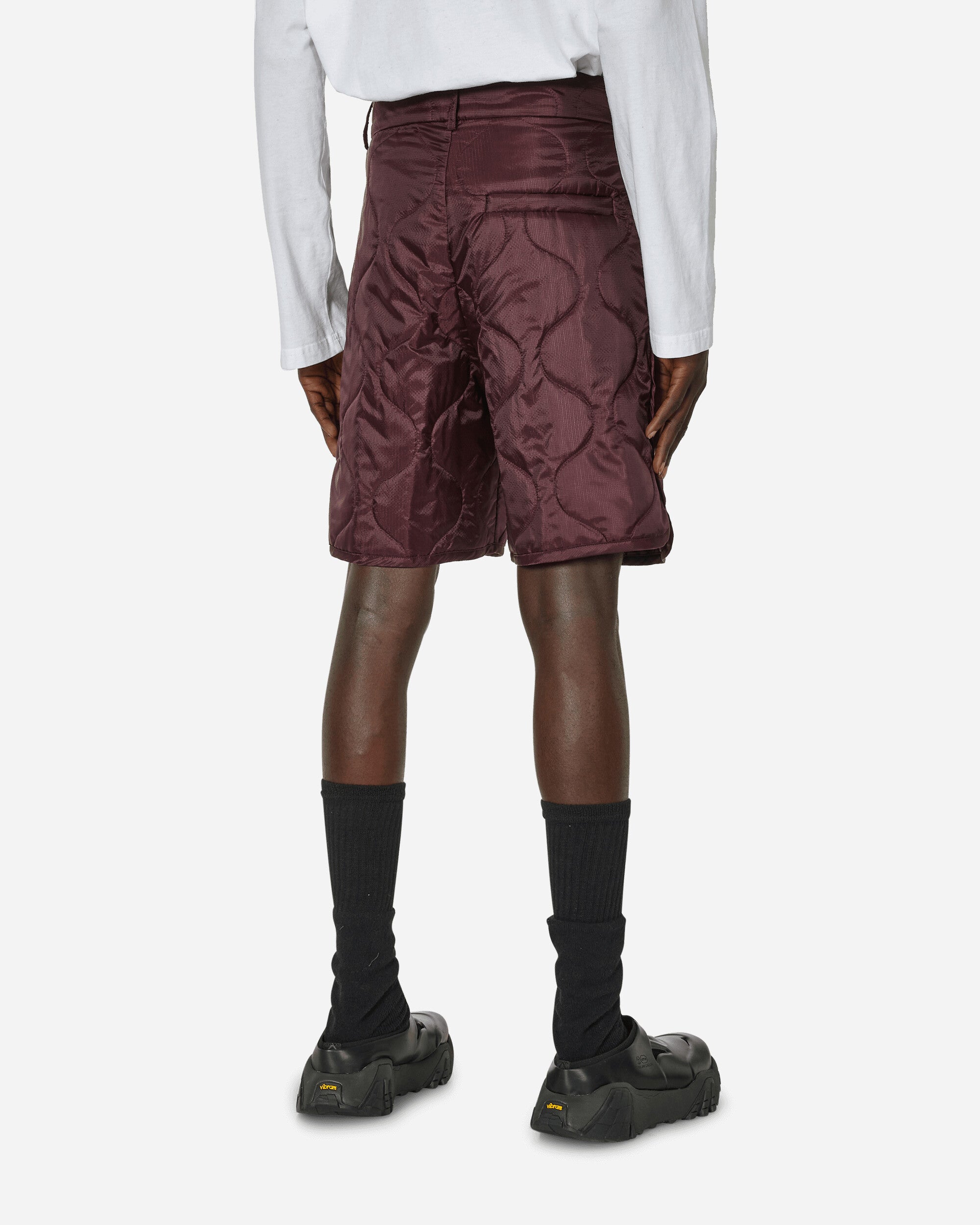 Dries Van Noten Pinlow Pants Auber Shorts Short 241-020955-8502 357