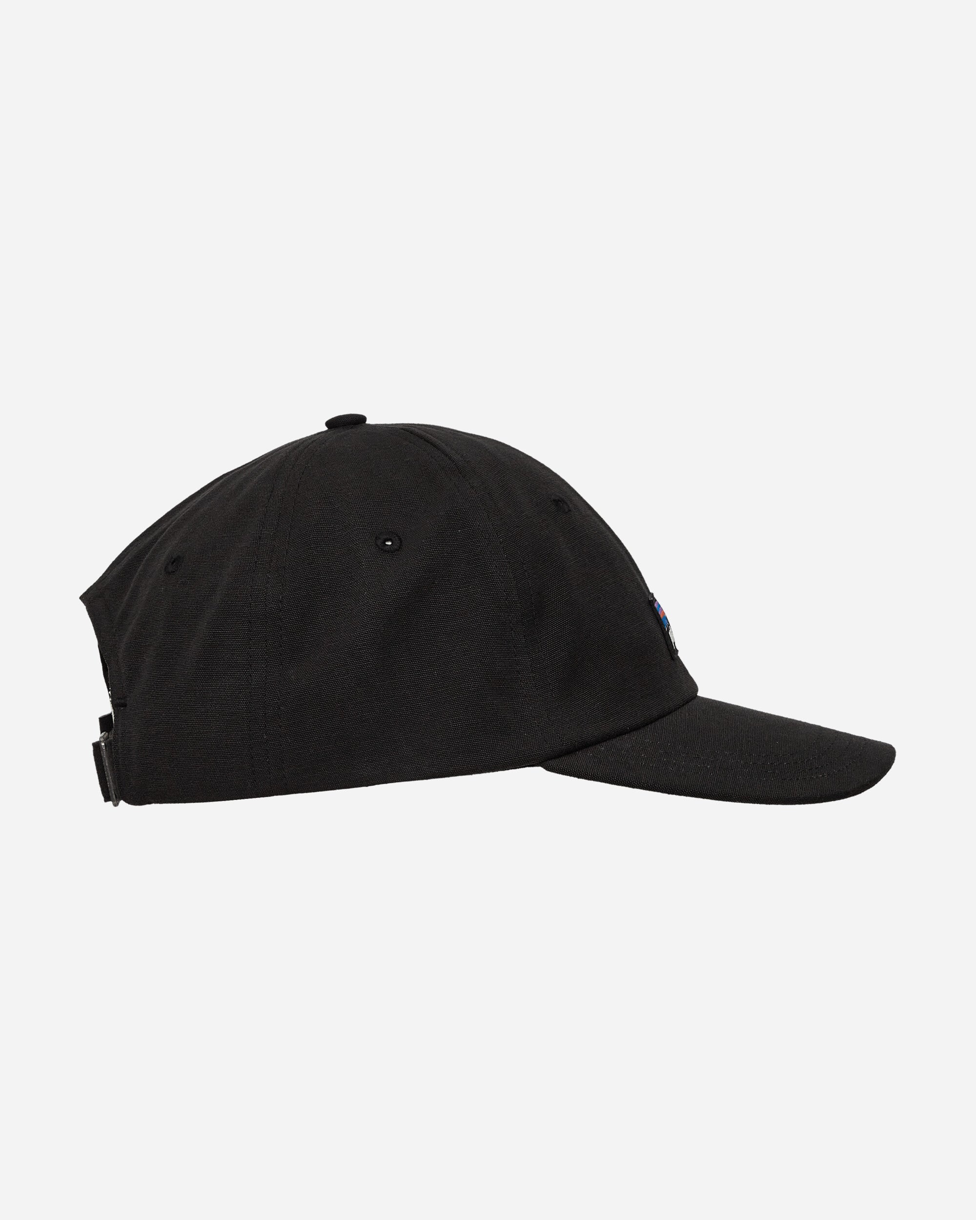 Patagonia P-6 Label Trad Cap Black Hats Caps 38296 BLK