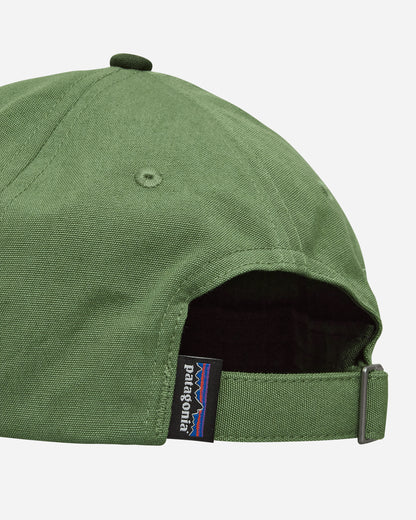 Patagonia P-6 Label Trad Cap Terrain Green  Hats Caps 38296 TNGR