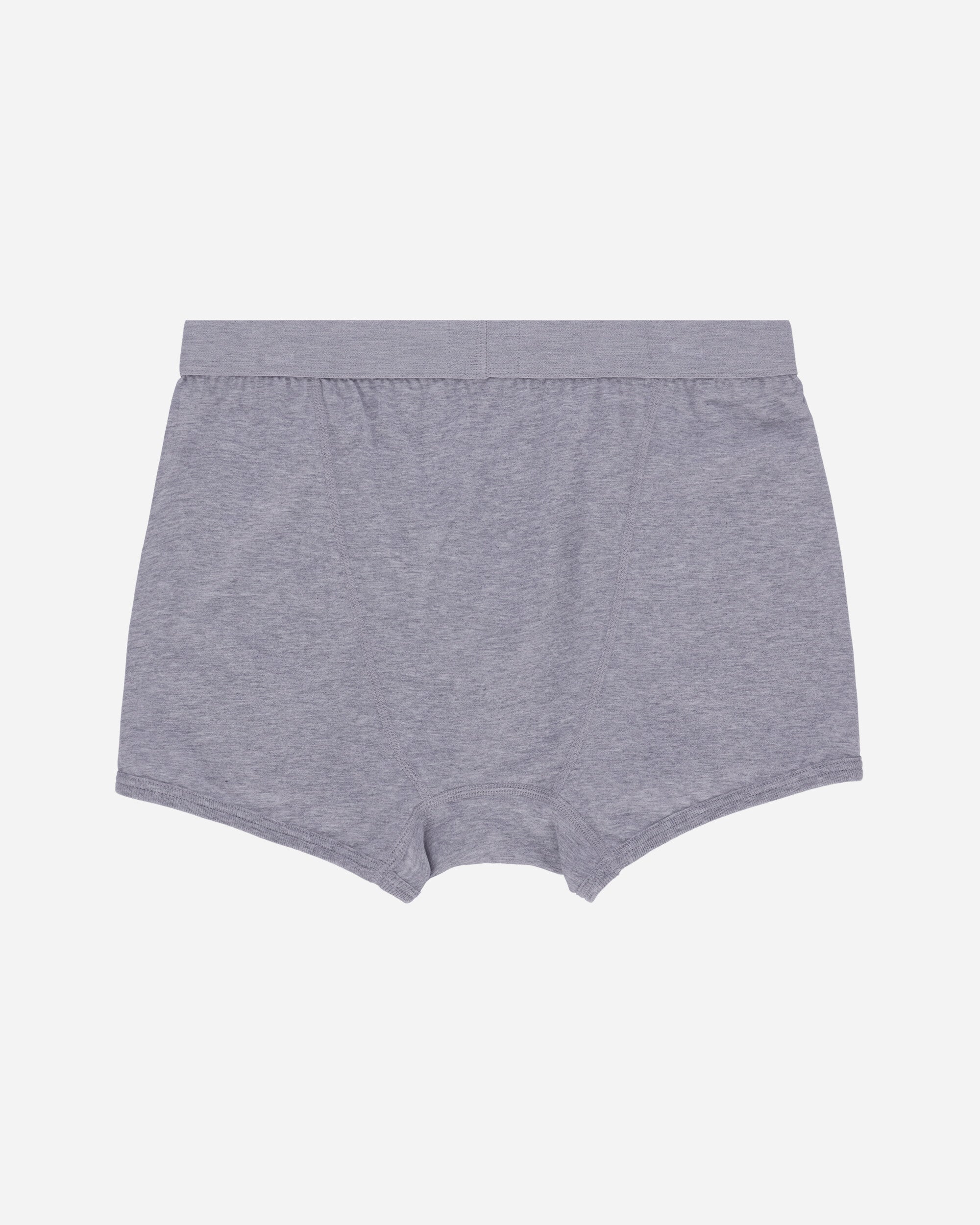 Comme Des Garçons Shirt Cdg Forever Boxer Grey Underwear Boxers FZ-T913-PER 3